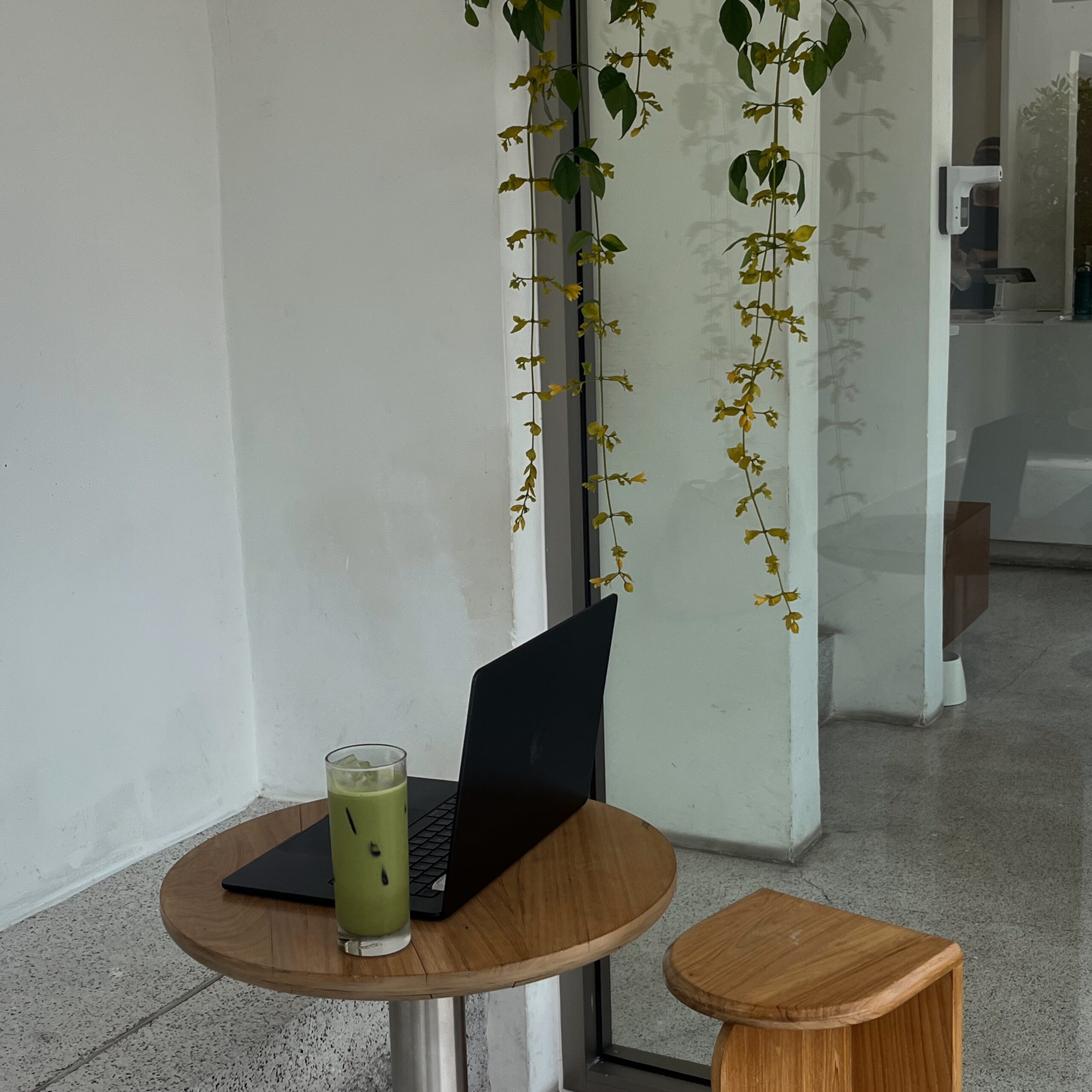 Virtual Guide 1x1 - 1